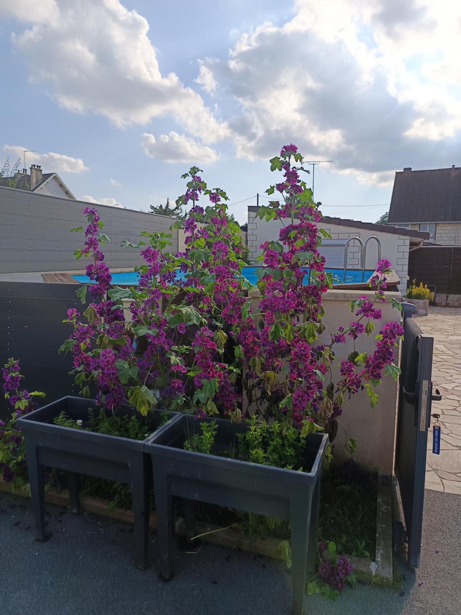 Jolie Maison Neuve - Malisone - *