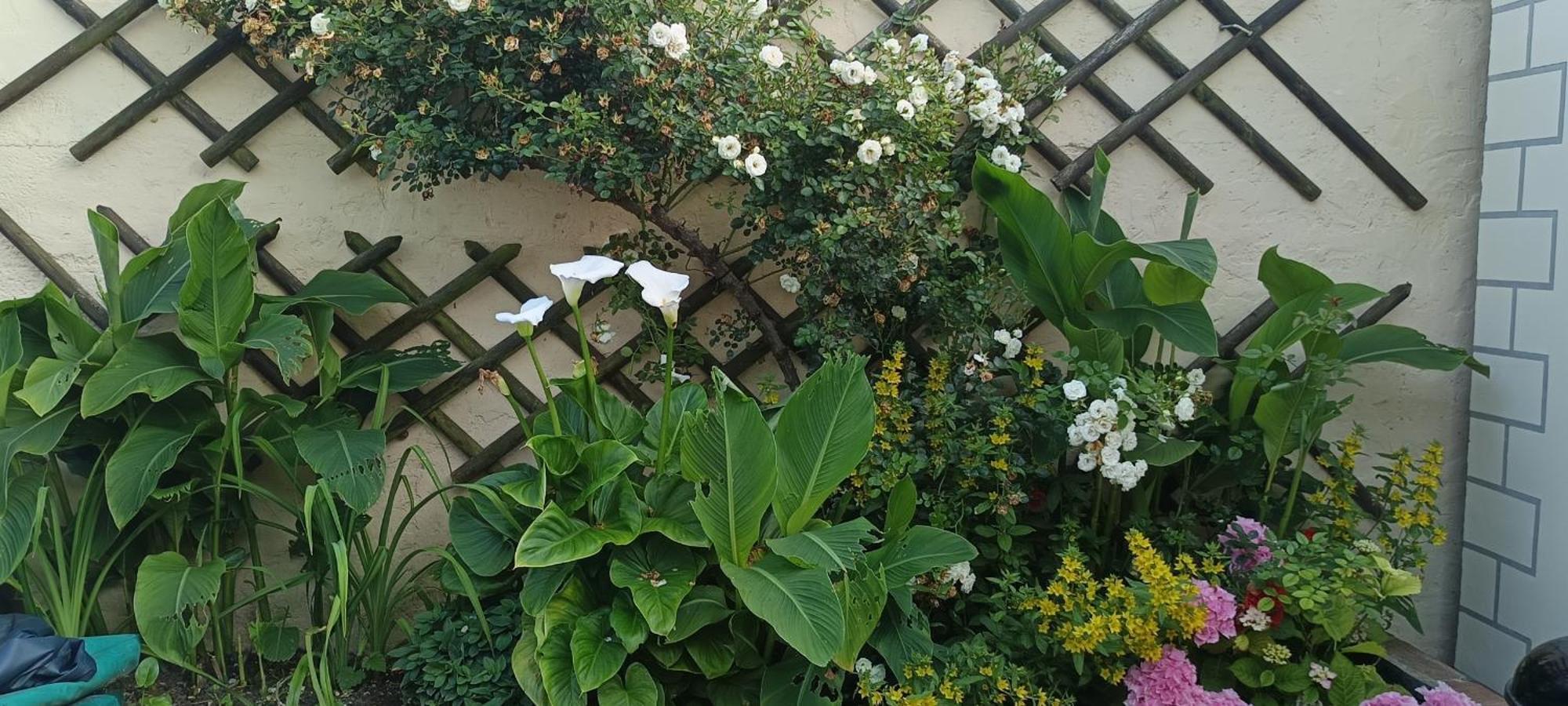 Holiday home Jolie Maison Neuve - Malisone - Pont-Sainte-Maxence